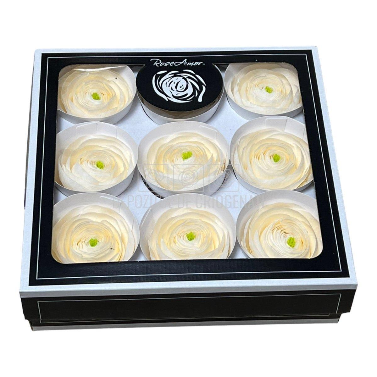 Ranunculus Criogenat CHA-89 (Ø6cm, set 9 buc /cutie) - DepozituldeCriogenati.ro