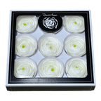 Ranunculus Criogenat WHI-01 (Ø6cm, set 9 buc /cutie) - DepozituldeCriogenati.ro