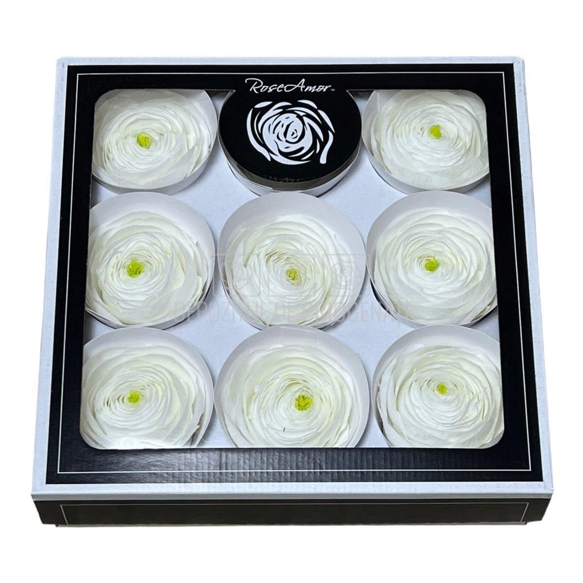 Ranunculus Criogenat WHI-01 (Ø6cm, set 9 buc /cutie) - DepozituldeCriogenati.ro