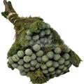 Tenuifolium Pitosporum Verde (Buchet Criogenat)