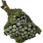 Tenuifolium Pitosporum Verde (Buchet Criogenat)