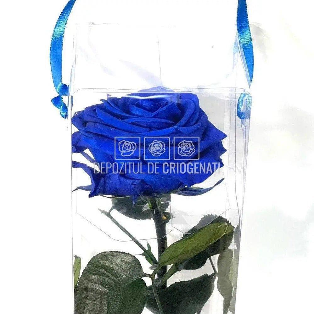 Trandafir AMOROSA PREMIUM DARK BLUE (Ø6,5-8,5cm) - DepozituldeCriogenati.ro