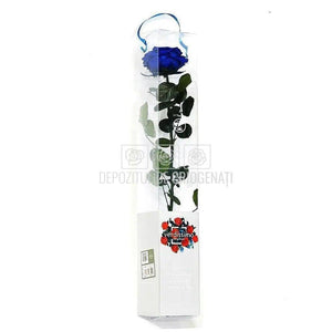 Trandafir AMOROSA PREMIUM DARK BLUE (Ø6,5-8,5cm) - DepozituldeCriogenati.ro