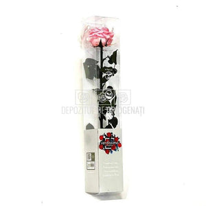 Trandafir AMOROSA PREMIUM PASTEL PINK (Ø6,5-8,5cm) - DepozituldeCriogenati.ro
