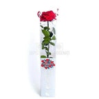 Trandafir AMOROSA PREMIUM RED (Ø6,5-8,5cm, 1 buc) - DepozituldeCriogenati.ro