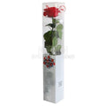 Trandafir AMOROSA PREMIUM RED (Ø6,5-8,5cm, 1 buc) - DepozituldeCriogenati.ro