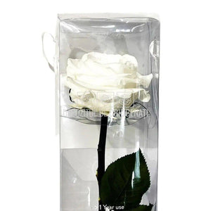 Trandafir AMOROSA PREMIUM WHITE (Ø6,5-8,5cm, 1 buc) - DepozituldeCriogenati.ro