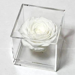 Trandafir Criogenat Alb (Ø6cm) in Cutie Cadou (9x9x9cm) - DepozituldeCriogenati.ro