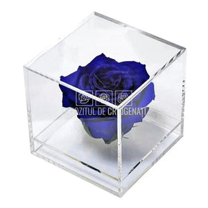 Trandafir Criogenat Albastru (Ø6cm) in Cutie Cadou (9x9x9cm) - DepozituldeCriogenati.ro