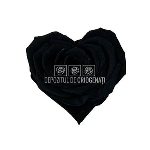 Trandafir Criogenat BELLA CORAZON BLA-01 (Ø7-8cm, 4 buc /cutie) - DepozituldeCriogenati.ro