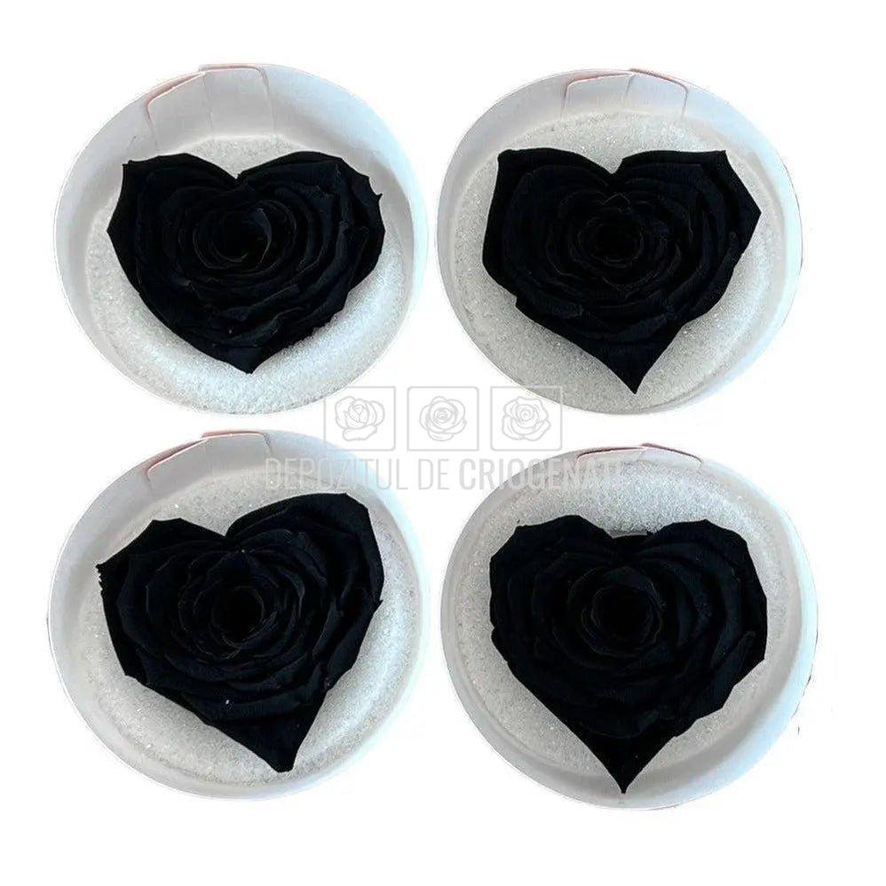 Trandafir Criogenat BELLA CORAZON BLA-01 (Ø7-8cm, 4 buc /cutie) - DepozituldeCriogenati.ro