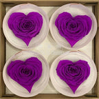Trandafir Criogenat BELLA CORAZON PUR-02 (Ø7-8cm, 4 buc /cutie) - DepozituldeCriogenati.ro