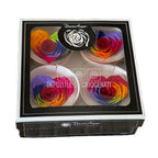 Trandafir Criogenat BELLA CORAZON RAINBOW RED-02 (Ø7-8cm, 4 buc) - DepozituldeCriogenati.ro