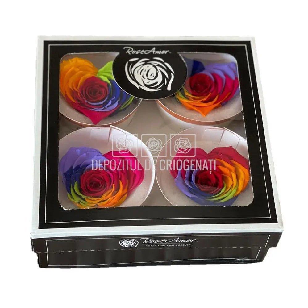 Trandafir Criogenat BELLA CORAZON RAINBOW RED-02 (Ø7-8cm, 4 buc) - DepozituldeCriogenati.ro
