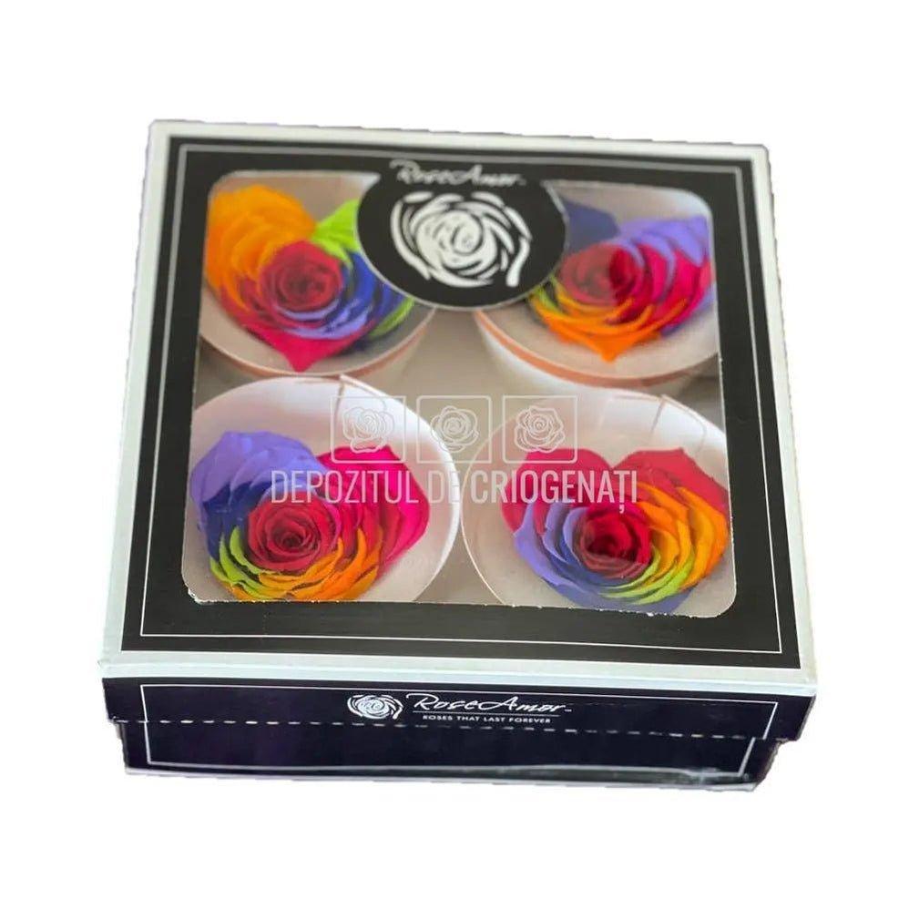 Trandafir Criogenat BELLA CORAZON RAINBOW RED-02 (Ø7-8cm, 4 buc) - DepozituldeCriogenati.ro