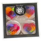 Trandafir Criogenat BELLA CORAZON RAINBOW RED-02 (Ø7-8cm, 4 buc) - DepozituldeCriogenati.ro
