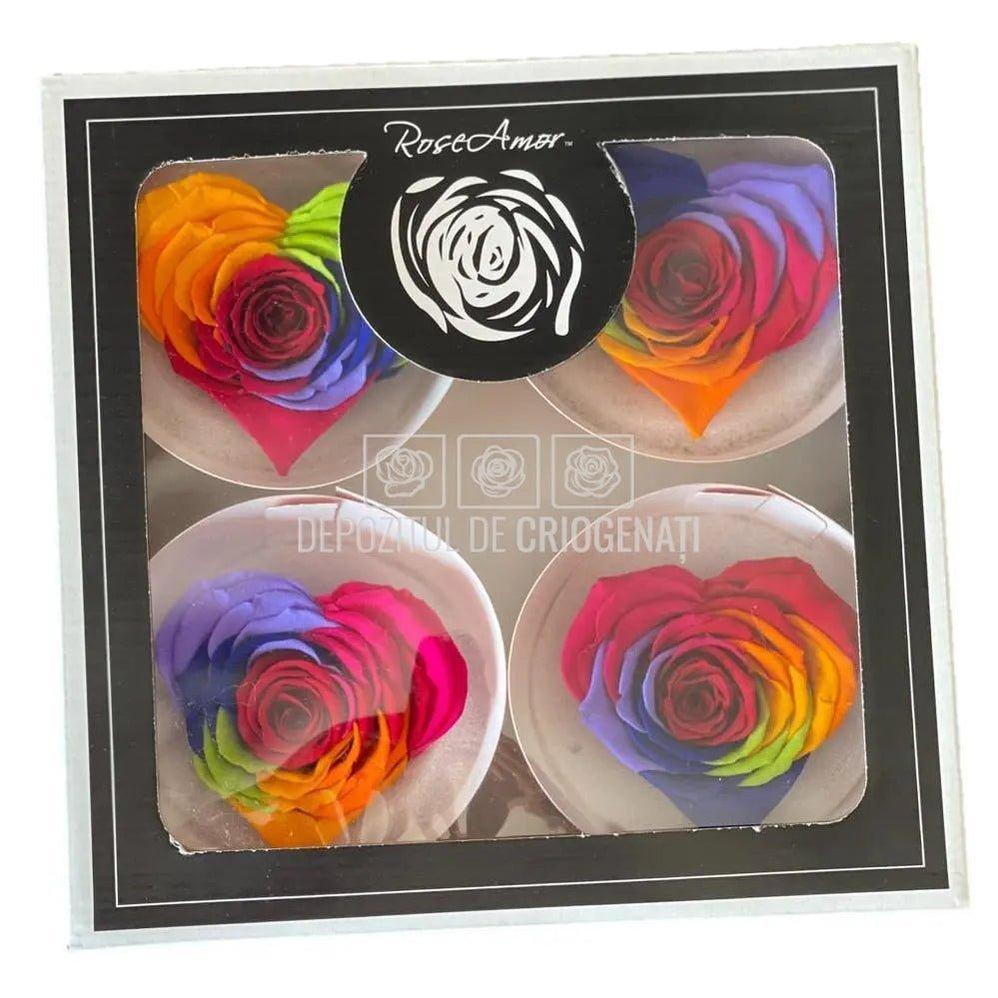 Trandafir Criogenat BELLA CORAZON RAINBOW RED-02 (Ø7-8cm, 4 buc) - DepozituldeCriogenati.ro
