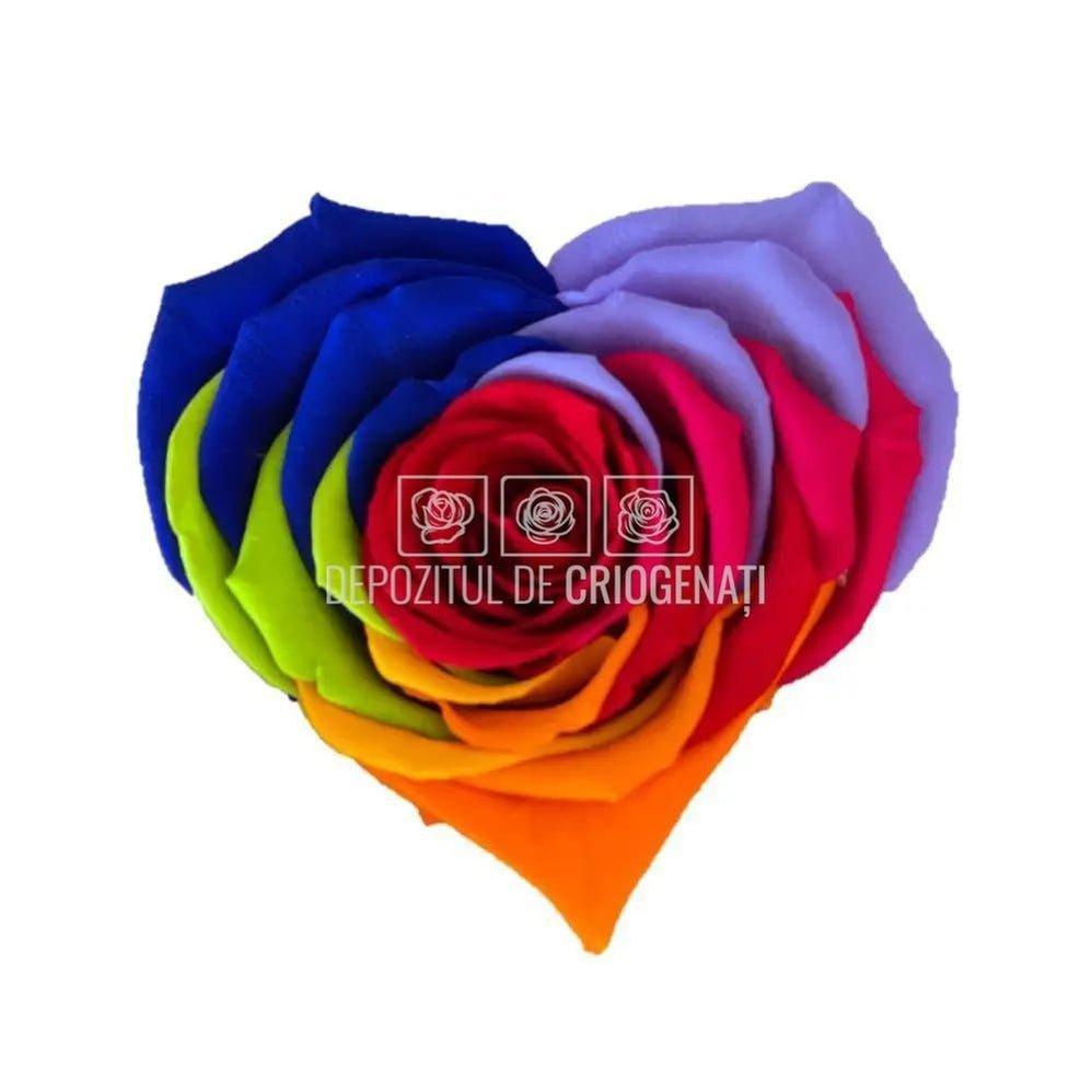 Trandafir Criogenat BELLA CORAZON RAINBOW RED-02 (Ø7-8cm, 4 buc) - DepozituldeCriogenati.ro
