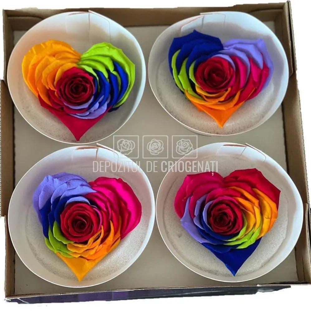 Trandafir Criogenat BELLA CORAZON RAINBOW RED-02 (Ø7-8cm, 4 buc) - DepozituldeCriogenati.ro