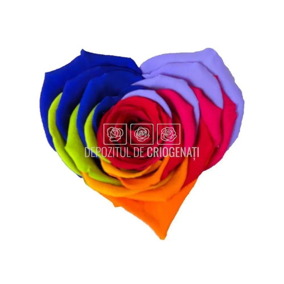Trandafir Criogenat BELLA CORAZON RAINBOW RED-02 (Ø7-8cm, 4 buc) - DepozituldeCriogenati.ro