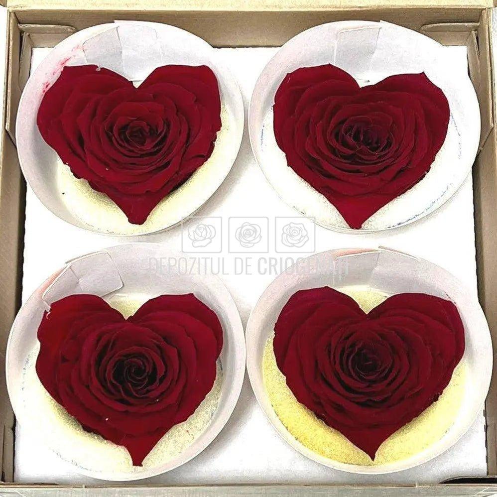 Trandafir Criogenat BELLA CORAZON RED-01 (Ø7-8cm, 4 buc /cutie) - DepozituldeCriogenati.ro