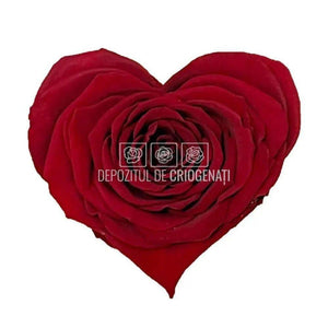 Trandafir Criogenat BELLA CORAZON RED-01 (Ø7-8cm, 4 buc /cutie) - DepozituldeCriogenati.ro