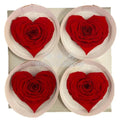 Trandafir Criogenat BELLA CORAZON RED-02 (Ø7-8cm, 4 buc /cutie) - DepozituldeCriogenati.ro