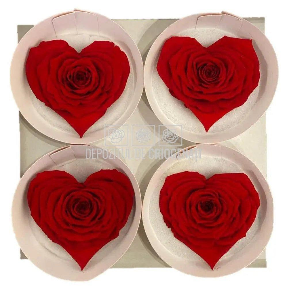 Trandafir Criogenat BELLA CORAZON RED-02 (Ø7-8cm, 4 buc /cutie) - DepozituldeCriogenati.ro