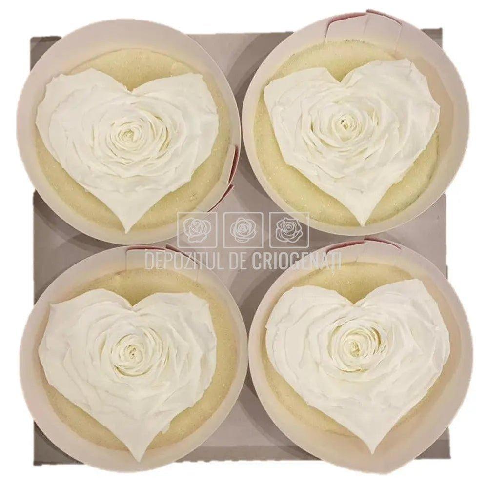 Trandafir Criogenat BELLA CORAZON WHI-01 (Ø7-8cm, 4 buc /cutie) - DepozituldeCriogenati.ro