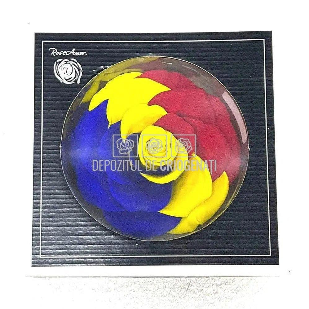 Trandafir Criogenat BONITA FLAG ROMANIA (Ø9,5cm, 1 buc) - DepozituldeCriogenati.ro