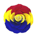 Trandafir Criogenat BONITA FLAG ROMANIA (Ø9,5cm, 1 buc) - DepozituldeCriogenati.ro