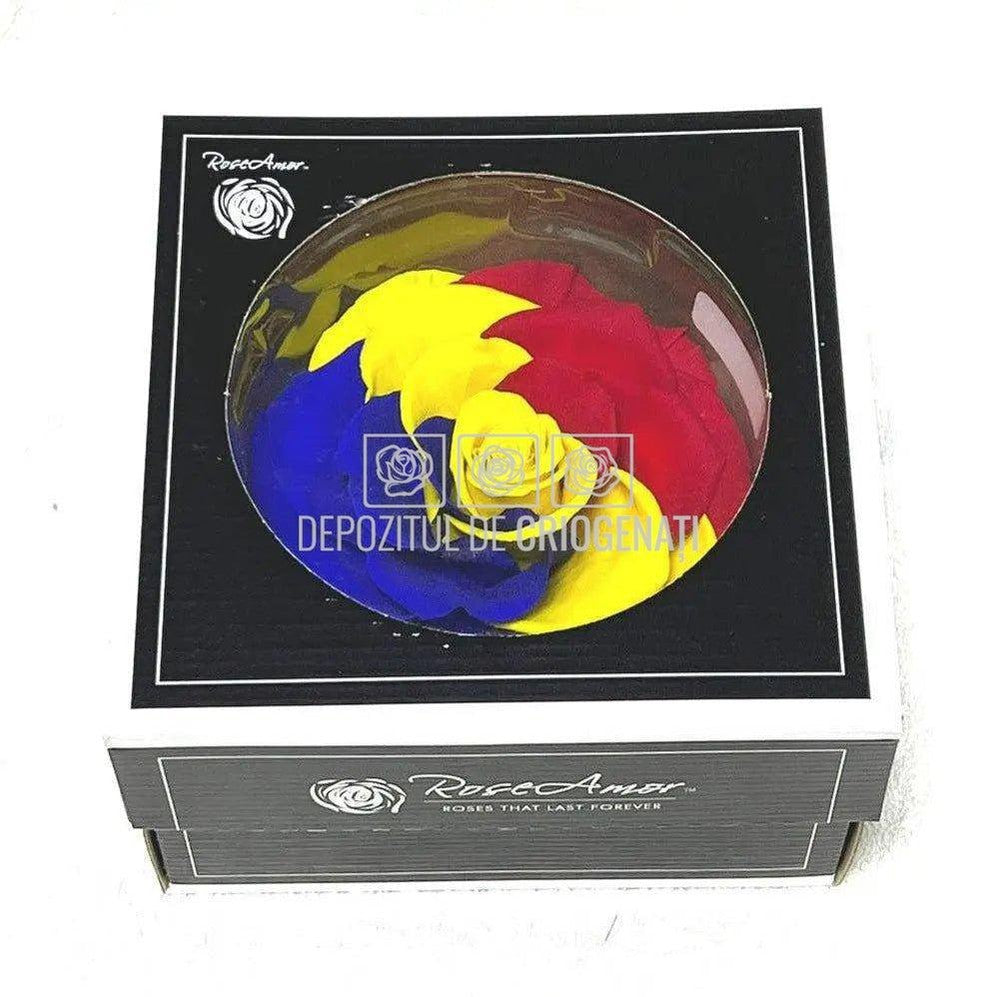 Trandafir Criogenat BONITA FLAG ROMANIA (Ø9,5cm, 1 buc) - DepozituldeCriogenati.ro