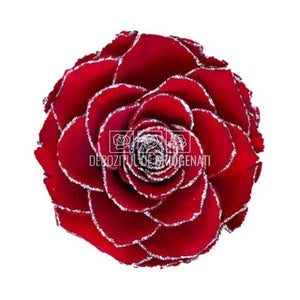 Trandafir Criogenat BONITA GLITTER SILVER RED-02 (Ø9,5cm, 1 buc) - DepozituldeCriogenati.ro