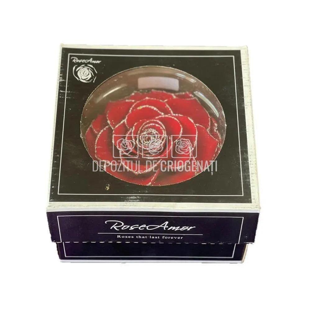Trandafir Criogenat BONITA GLITTER SILVER RED-02 (Ø9,5cm, 1 buc) - DepozituldeCriogenati.ro