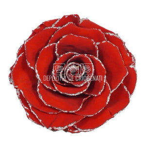Trandafir Criogenat BONITA GLITTER SILVER RED-02 (Ø9,5cm, 1 buc) - DepozituldeCriogenati.ro