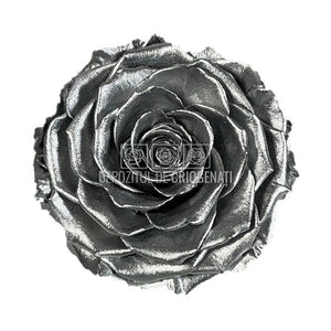 Trandafir Criogenat BONITA METALLIC SILVER (Ø9,5cm) - DepozituldeCriogenati.ro