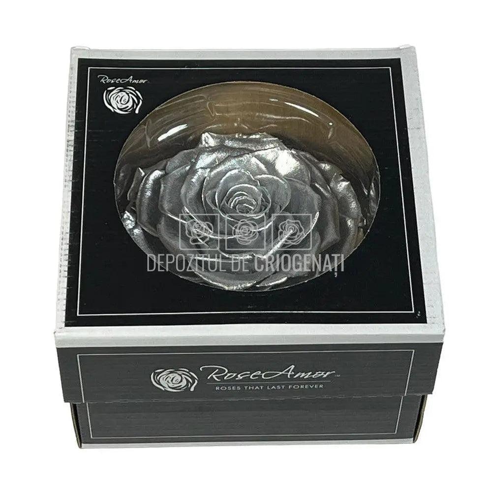 Trandafir Criogenat BONITA METALLIC SILVER (Ø9,5cm) - DepozituldeCriogenati.ro