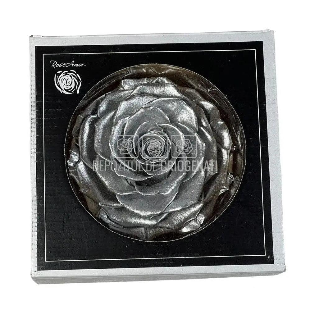 Trandafir Criogenat BONITA METALLIC SILVER (Ø9,5cm) - DepozituldeCriogenati.ro