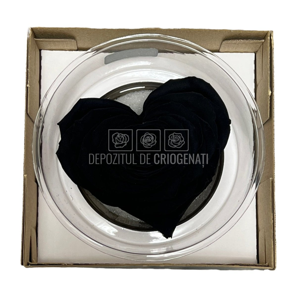 Trandafir Criogenat CORAZON BLA-01 (Ø9cm, 1 buc /cutie) - DepozituldeCriogenati.ro