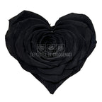 Trandafir Criogenat CORAZON BLA-01 (Ø9cm, 1 buc /cutie) - DepozituldeCriogenati.ro