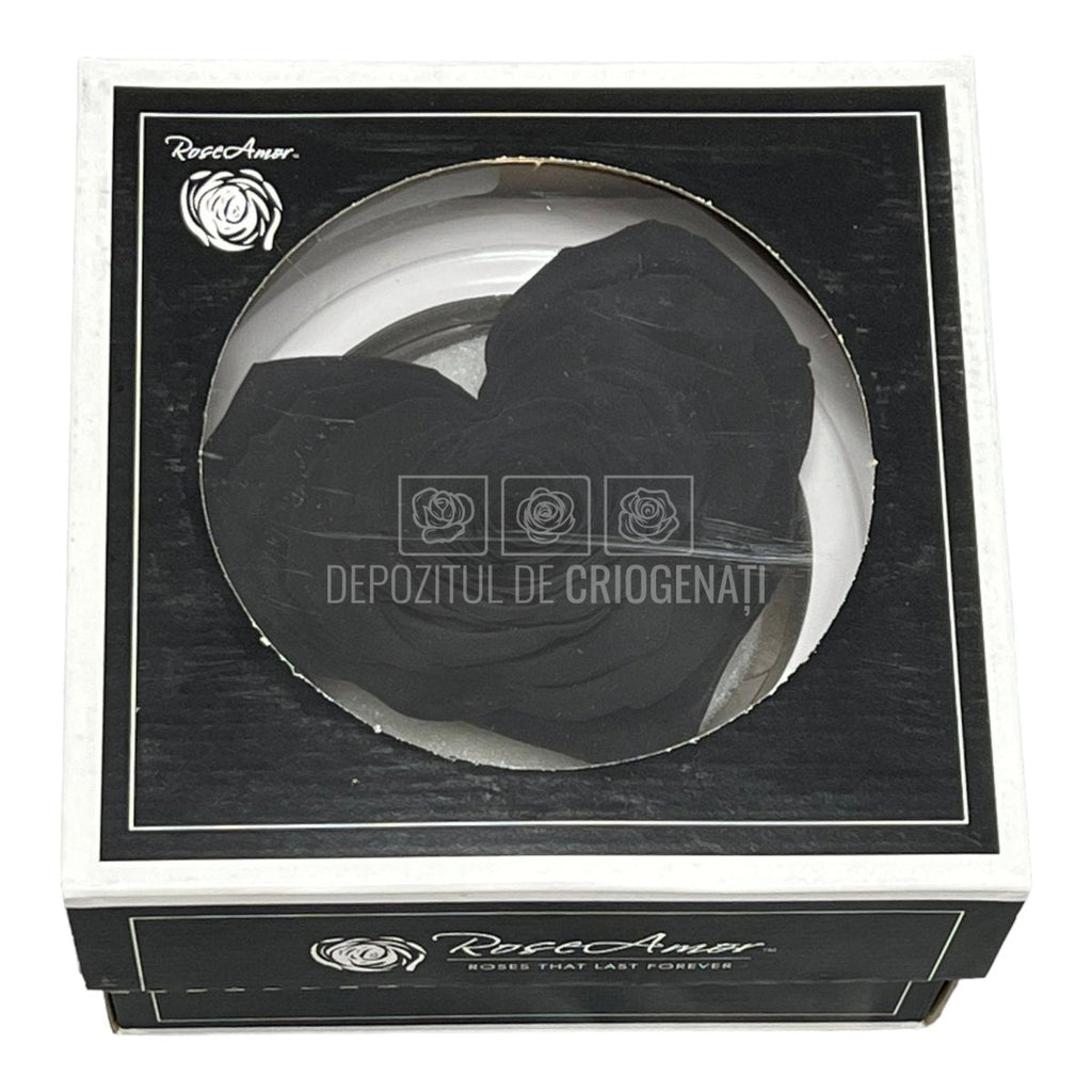 Trandafir Criogenat CORAZON BLA-01 (Ø9cm, 1 buc /cutie) - DepozituldeCriogenati.ro