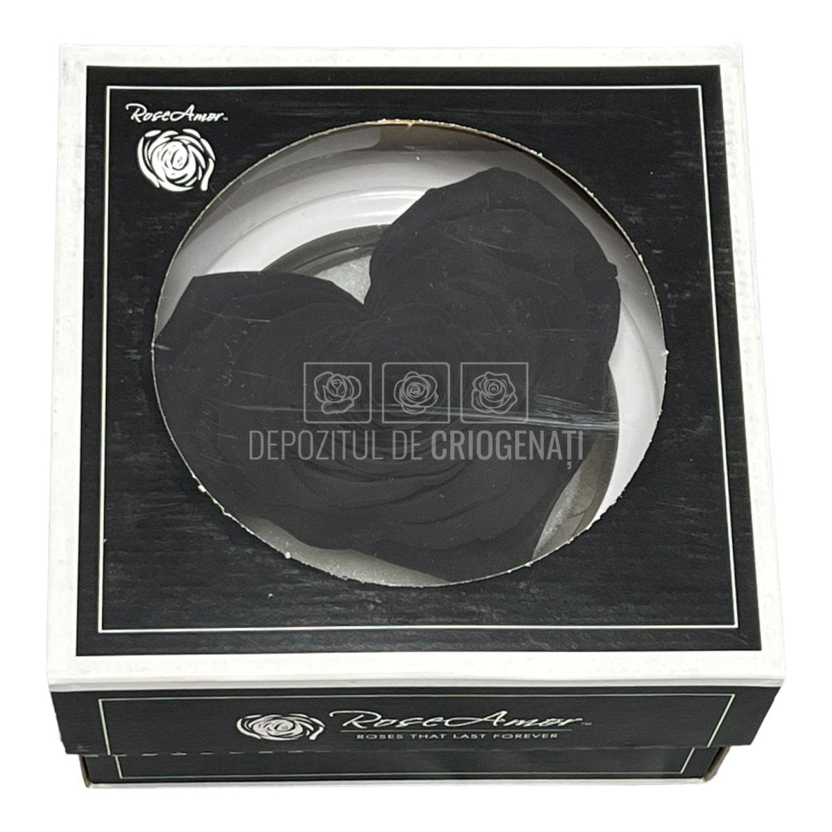 Trandafir Criogenat CORAZON BLA-01 (Ø9cm, 1 buc /cutie) - DepozituldeCriogenati.ro