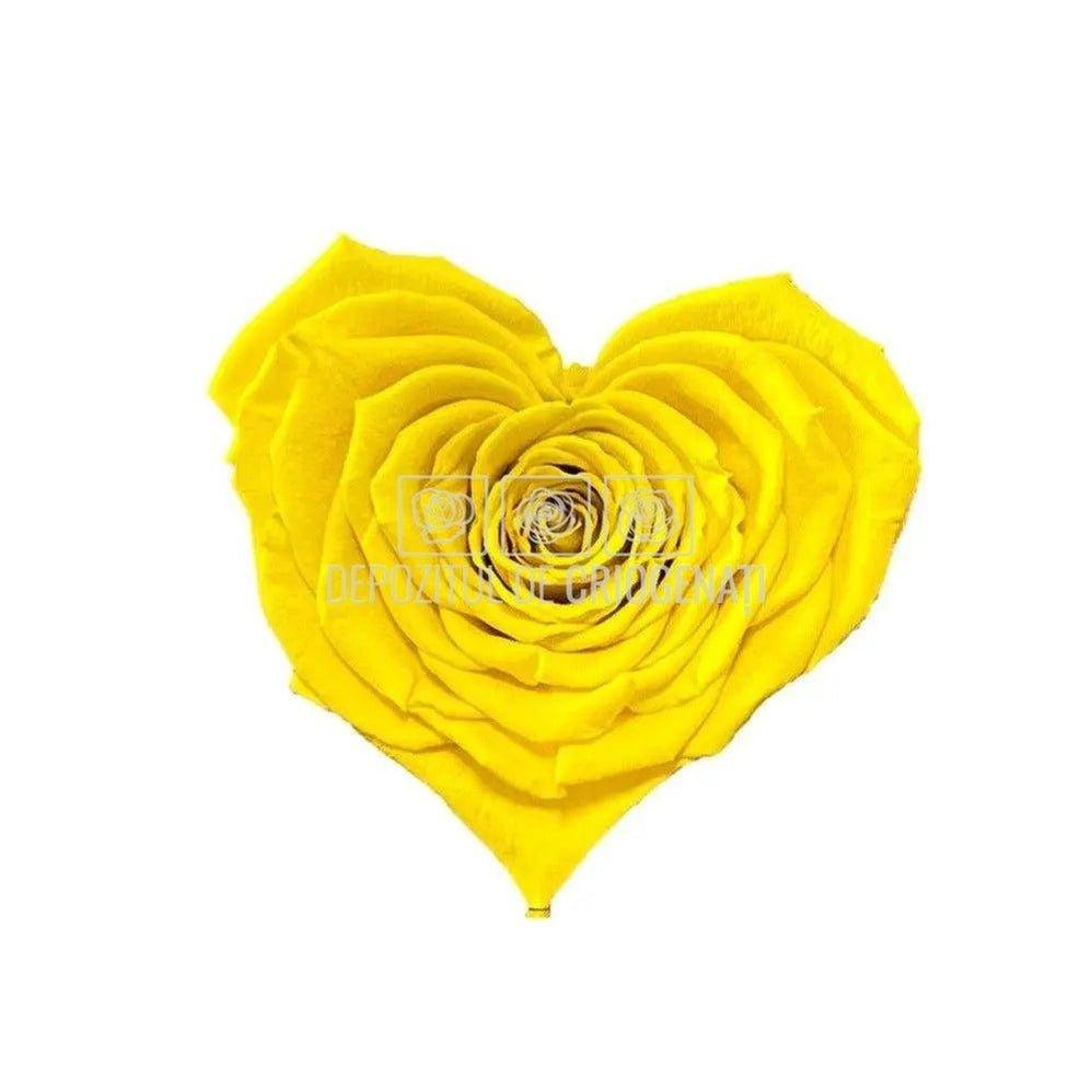 Trandafir Criogenat CORAZON YEL-02 (Ø9cm, 1 buc /cutie) - DepozituldeCriogenati.ro