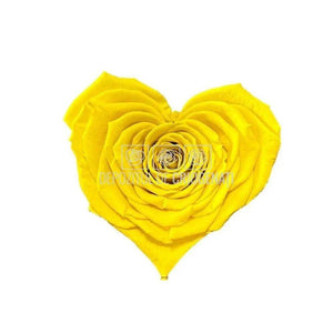 Trandafir Criogenat CORAZON YEL-02 (Ø9cm, 1 buc /cutie) - DepozituldeCriogenati.ro