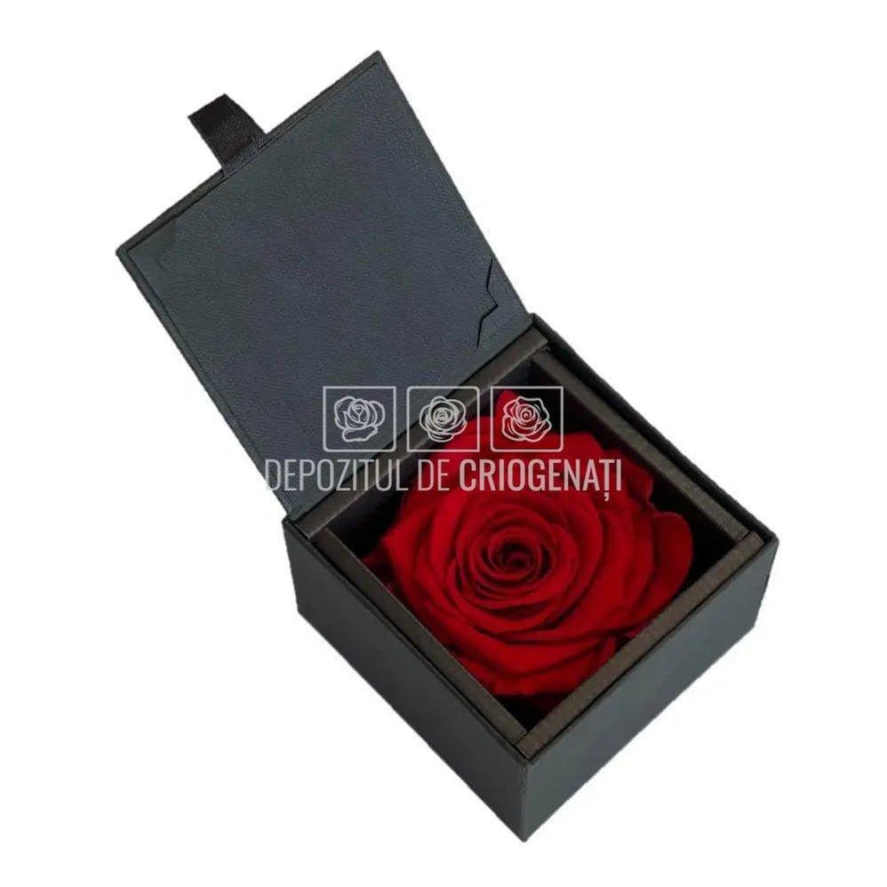 Trandafir Criogenat Rosu (Ø6,5-7cm) in Cutie Cadou (8,5x8,5x6cm) - DepozituldeCriogenati.ro