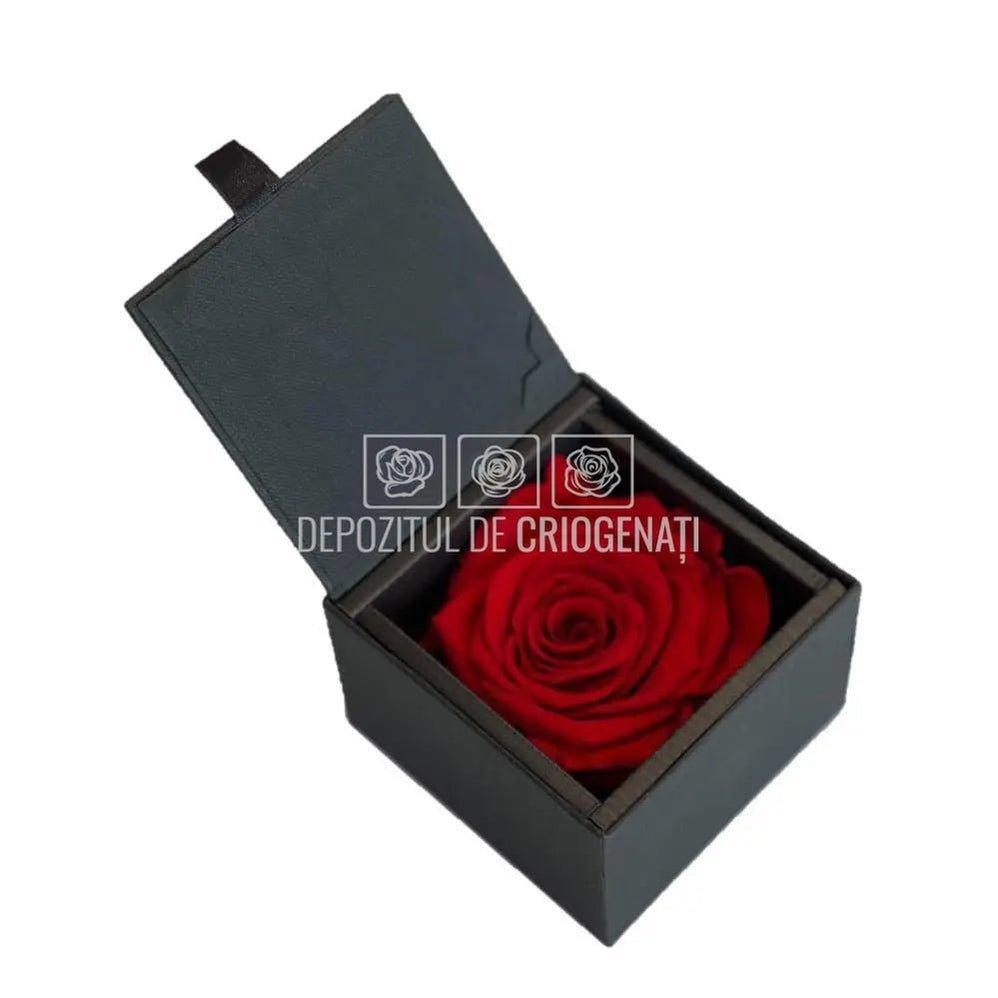 Trandafir Criogenat Rosu (Ø6,5-7cm) in Cutie Cadou (8,5x8,5x6cm) - DepozituldeCriogenati.ro