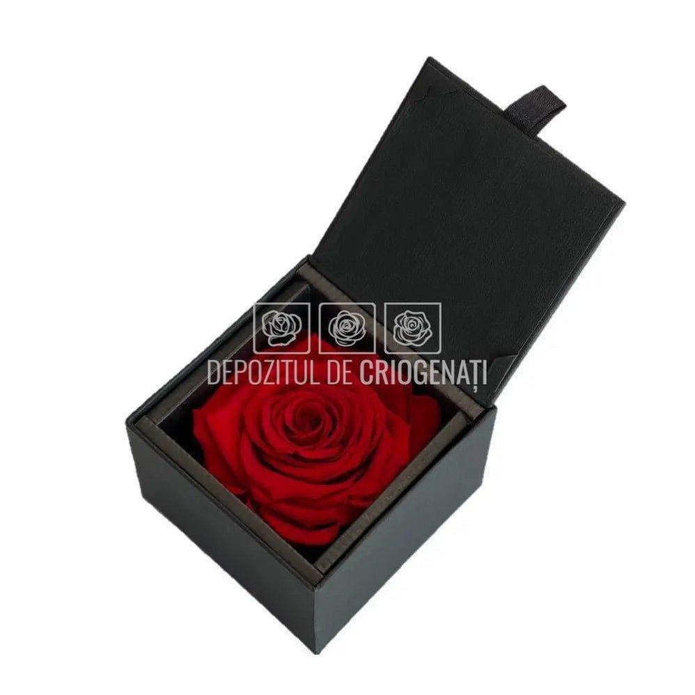 Trandafir Criogenat Rosu (Ø6,5-7cm) in Cutie Cadou (8,5x8,5x6cm) - DepozituldeCriogenati.ro