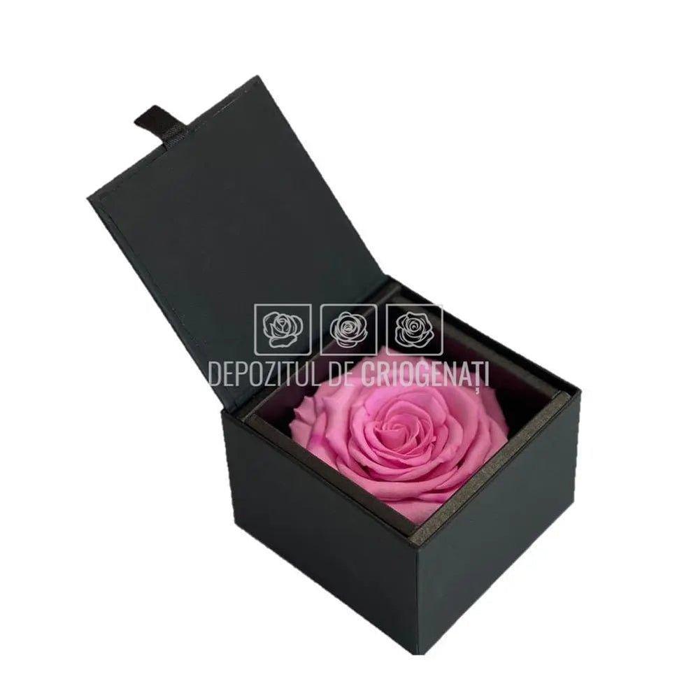 Trandafir Criogenat Roz (Ø6,5-7cm) in Cutie Cadou (8,5x8,5x6cm) - DepozituldeCriogenati.ro
