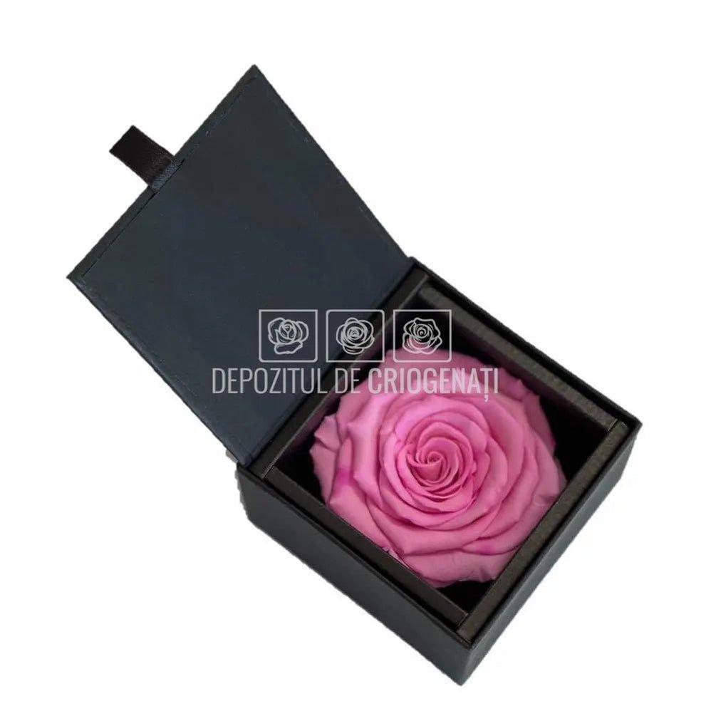 Trandafir Criogenat Roz (Ø6,5-7cm) in Cutie Cadou (8,5x8,5x6cm) - DepozituldeCriogenati.ro