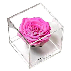 Trandafir Criogenat Roz (Ø6cm) in Cutie Cadou (9x9x9cm) - DepozituldeCriogenati.ro